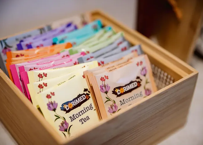 Appia Antica Giardino Parcheggio Fermata Bus *